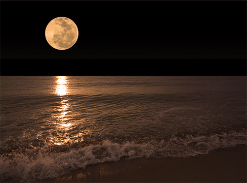 A moonlit beach at night